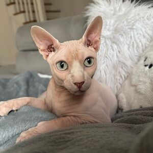 Meet your Posher, Christina